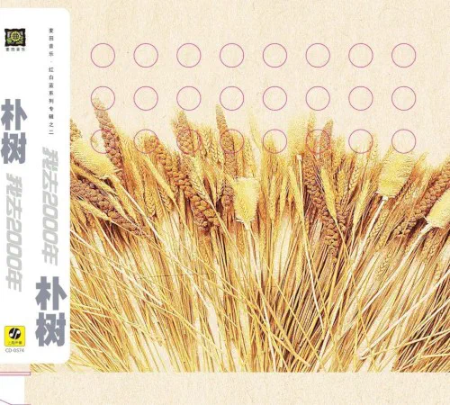 我去2000年 - Album Cover