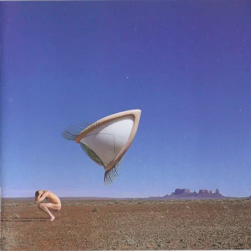 Bury the Hatchet - Album Cover